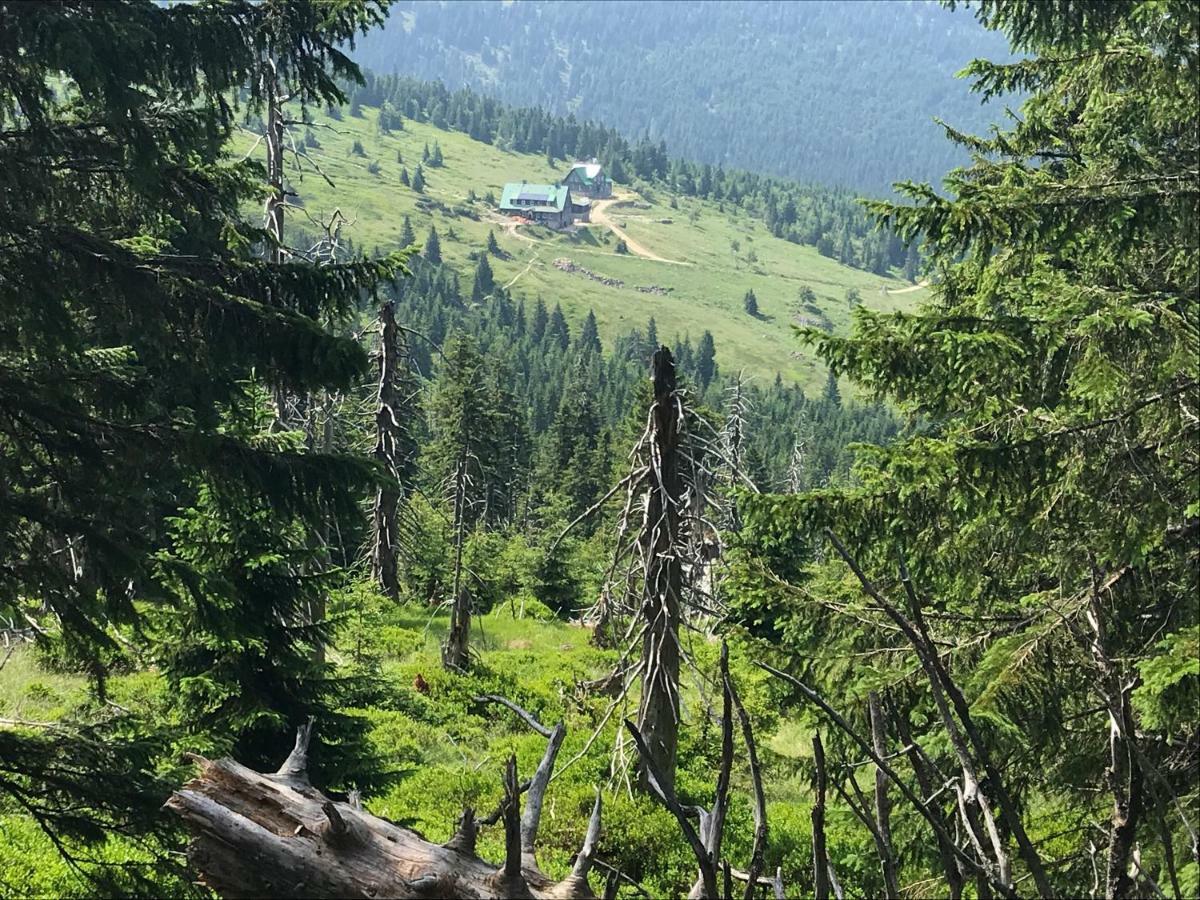 Apartament Rest & Ski Szklarska Poręba Zewnętrze zdjęcie